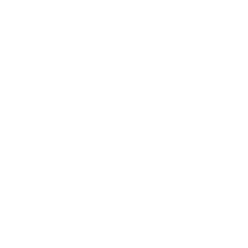 Logo 2NE1 - Girl group K-pop